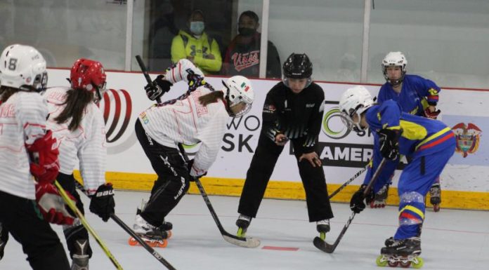 SORPRESAS EN EL PANAMERICANO DE HOCKEY EN LÍNEA
