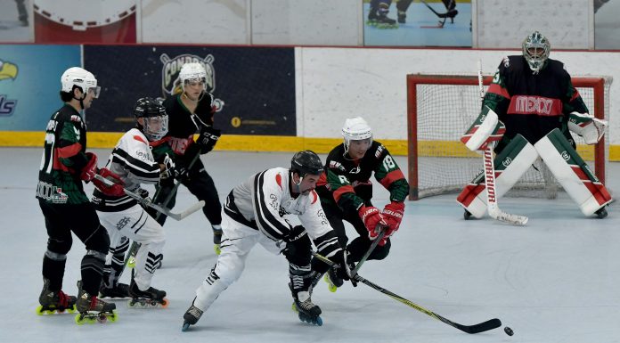 LA FIESTA DEL HOCKEY EN LÍNEA PANAMERICANO