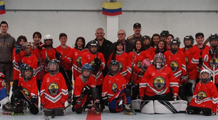 CAMPAMENTO PARA EL DESARROLLO DEL HOCKEY EN LÍNEA