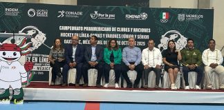 UN PANAMERICANO DE HOCKEY LÍNEA PARA ENMARCAR